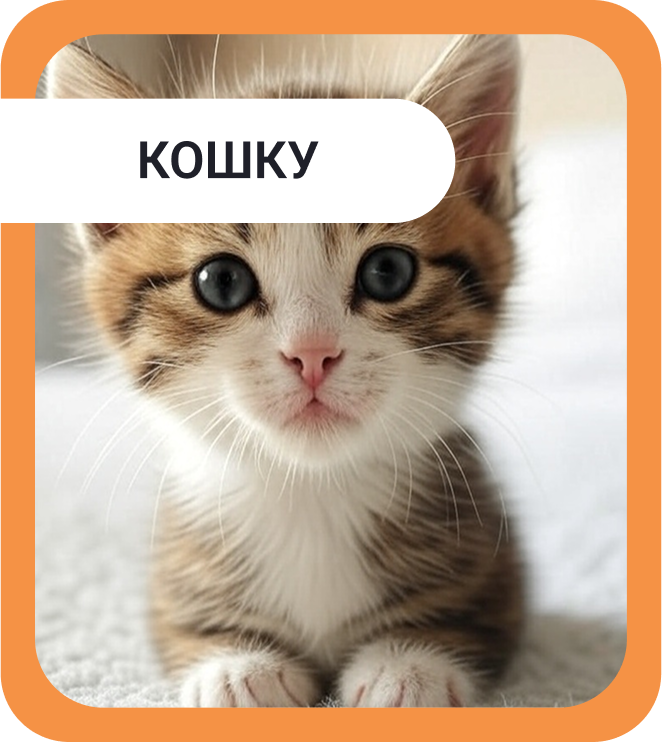 Кошка
